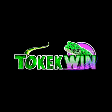 TOKEKWIN - Pertarungan Seru di Dunia MOBA